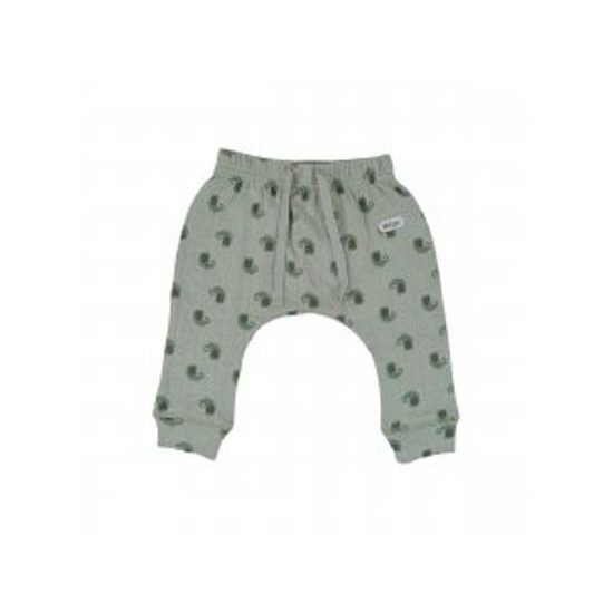 LODGER Jogger Flame Tribe Silt Green 62