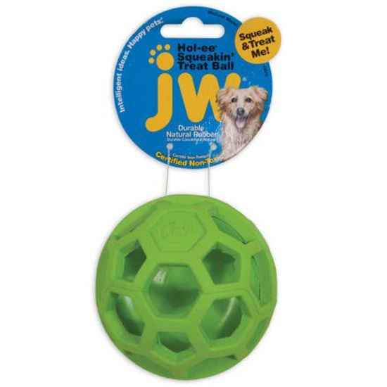 JW Pet JW Hol-EE Děrovaný míč pískací - Treat N Squeak
