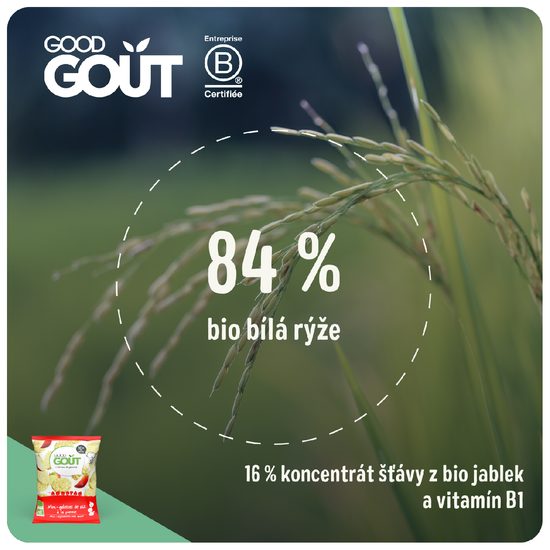 Good Gout BIO Mini rýžové koláčky s jablky 40 g