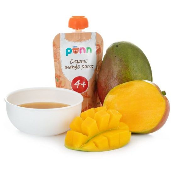 SALVEST Põnn BIO Mango 100% (100 g)