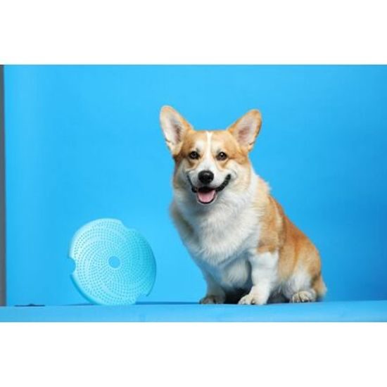 PetDreamHouse PetDreamHouse multifunkční talíř Spin Disc – modrá