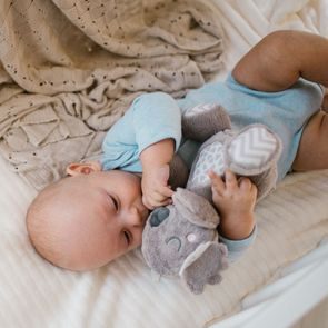 Li´l Wodzeez Rodina medvědů Healthnuggle