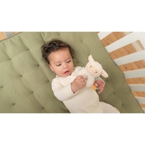 Little Dutch Fixy Jim