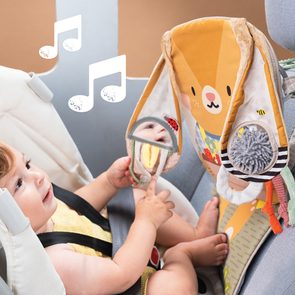 Taf Toys Box s aktivitami Play & Discover