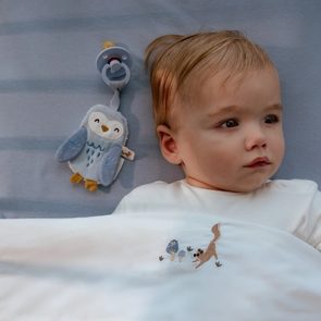 Little Dutch Muchláček na dudlík Sova Forest Friends