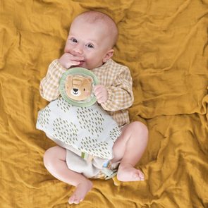 Taf Toys Muchláček Lev Harry