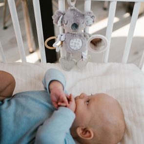 BabyOno Silikonový dělený talíř s přísavkami MINT