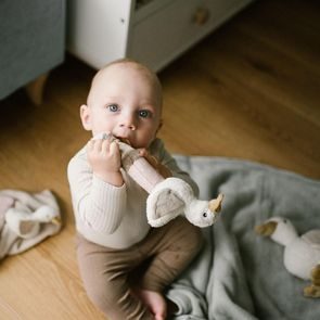 BabyOno Pískátko GOOSE ZOE