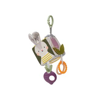 Taf Toys Box s aktivitami Play & Discover