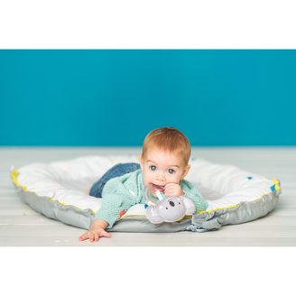 Taf Toys Box s aktivitami Play & Discover