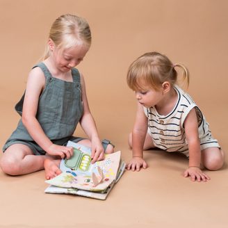 Taf Toys Box s aktivitami Play & Discover