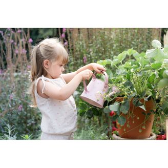 Little Dutch Dalekohled Fairy Garden