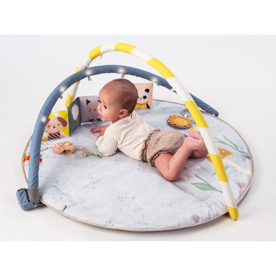 Taf Toys Hrací deka s hrazdou Bloom