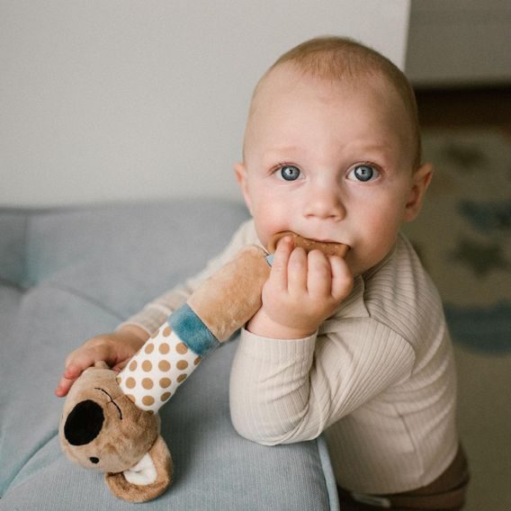 BabyOno Pískátko KOALA CHARLIE