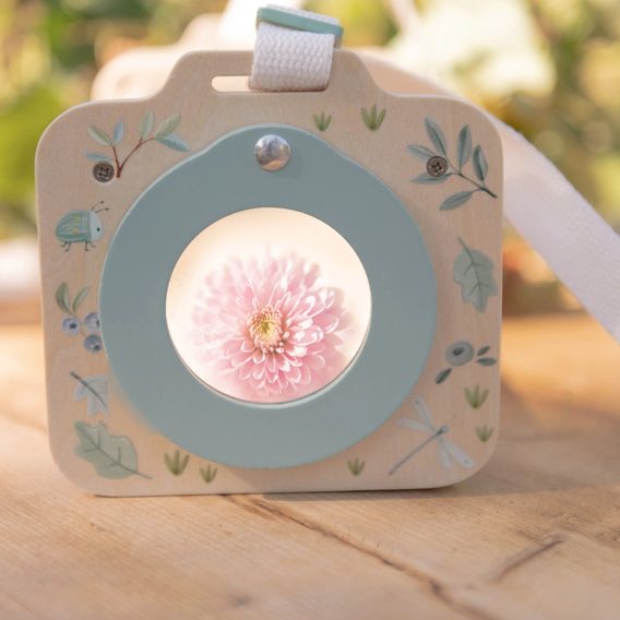 Little Dutch Box na prohlížení hmyzu dřevěný Forest Friends