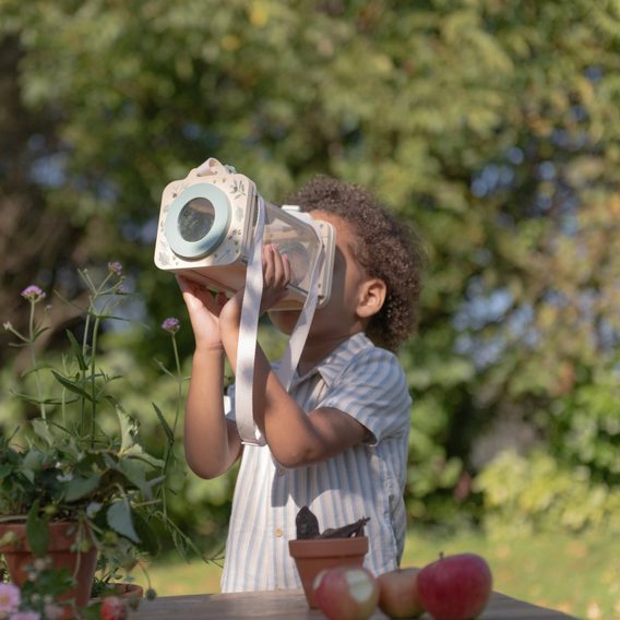 Little Dutch Box na prohlížení hmyzu dřevěný Forest Friends