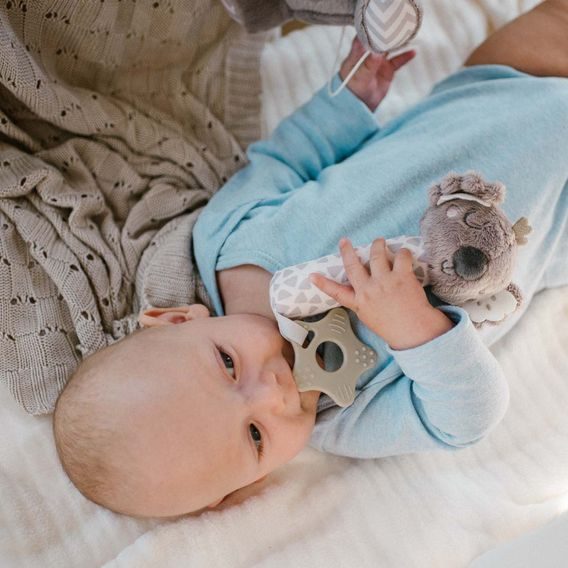 BabyOno Pískátko Koala COCO