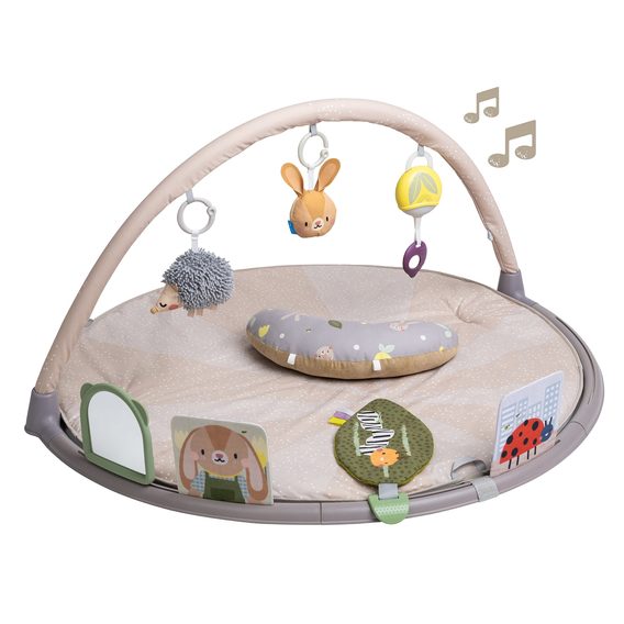 Taf Toys Hrací deka s hrazdou pro hru na bříšku