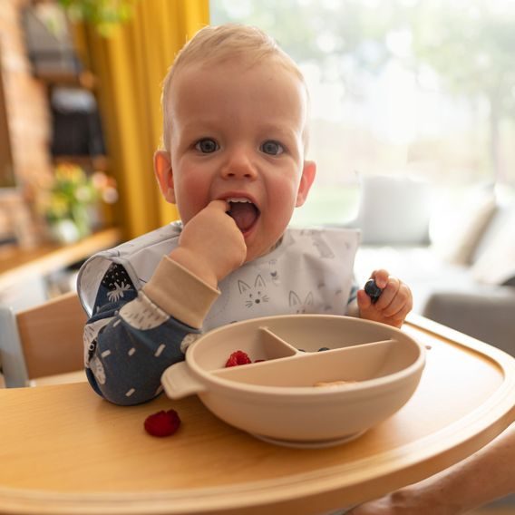 BabyOno Silikonový dělený talíř s přísavkou a víčkem BÉŽOVÁ