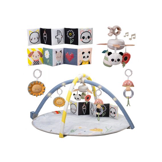 Taf Toys Hrací deka s hrazdou Bloom