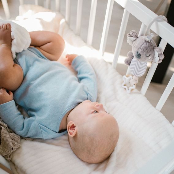 BabyOno Závěsná zvonící Koala COCO