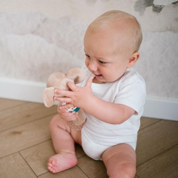 BabyOno Pískátko KOALA CHARLIE