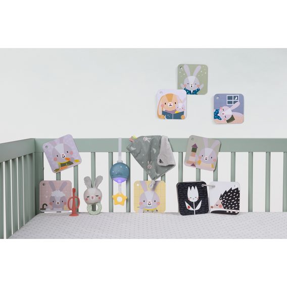 Taf Toys Sada hraček Bedtime Kit