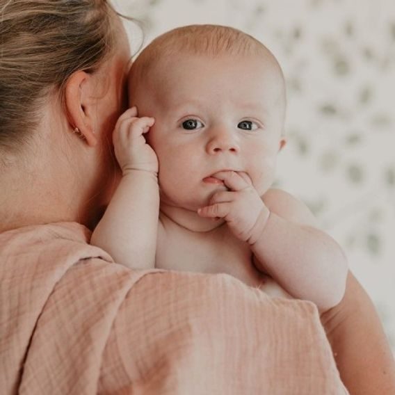 BIBS Mušelínové plenky 2ks BIO bavlna BLUSH