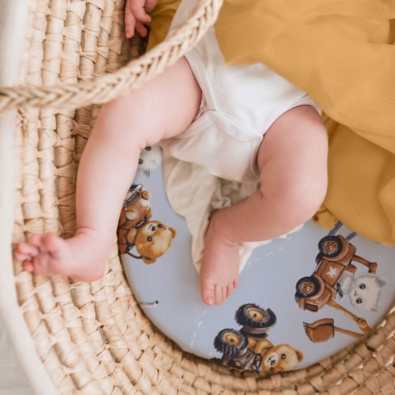 Albero Mio Prostěradlo do kočárku (C013) Little Drivers world