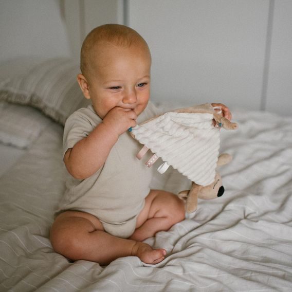 BabyOno Usínáček KOALA CHARLIE