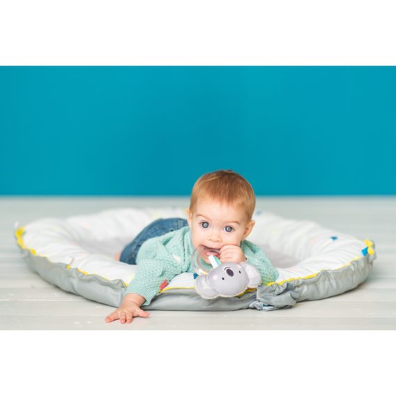 Taf Toys Chrastítko Koala Kimmi