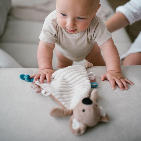 BabyOno Usínáček KOALA CHARLIE