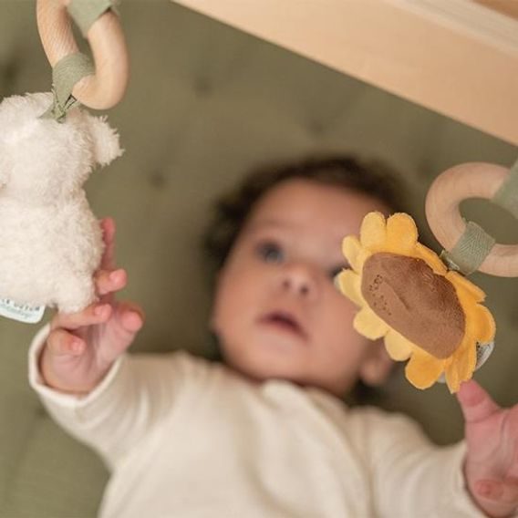 Little Dutch Hrazdička Farma