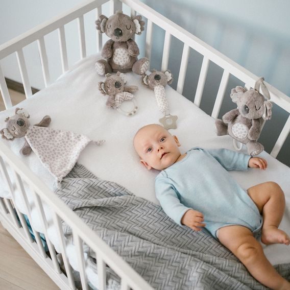BabyOno Usínáček Koala COCO