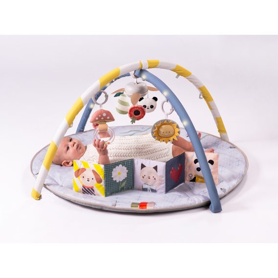 Taf Toys Hrací deka s hrazdou Bloom