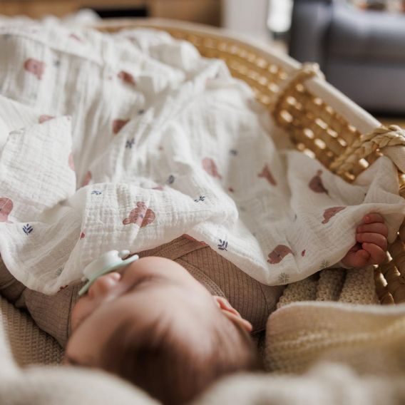 BabyOno Mušelínové pleny 3ks MEDVÍDCI