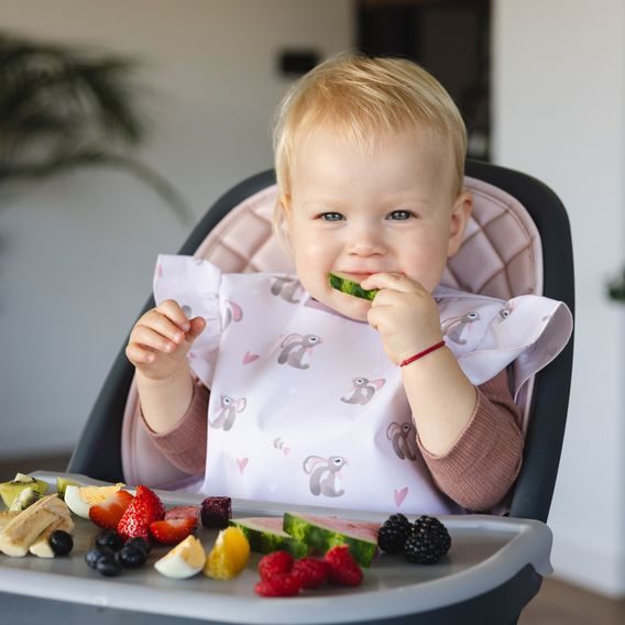 BabyOno Omyvatelný bryndák zástěrka 6m+ KRÁLÍČEK