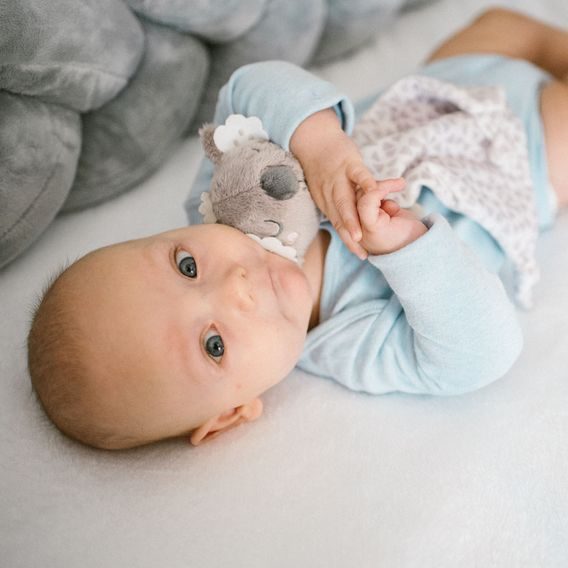 BabyOno Usínáček Koala COCO