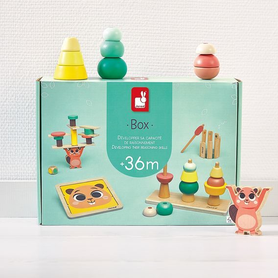 Janod Box Rozvoj rozumových schopností pro děti 36m+