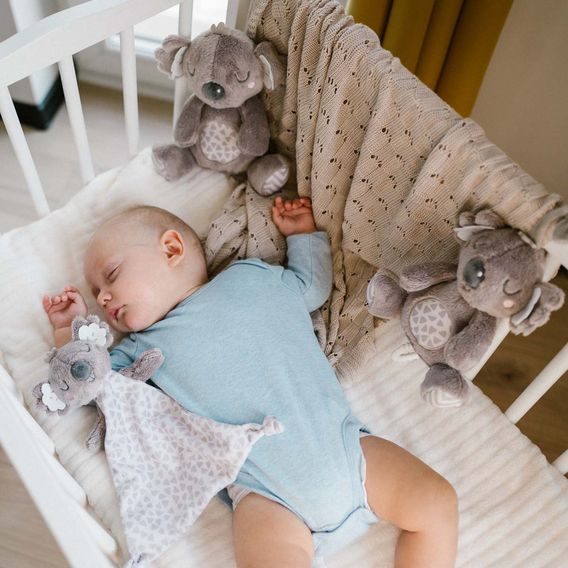BabyOno Usínáček Koala COCO