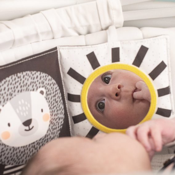 Taf Toys Knížka pro nejmenší Savanna