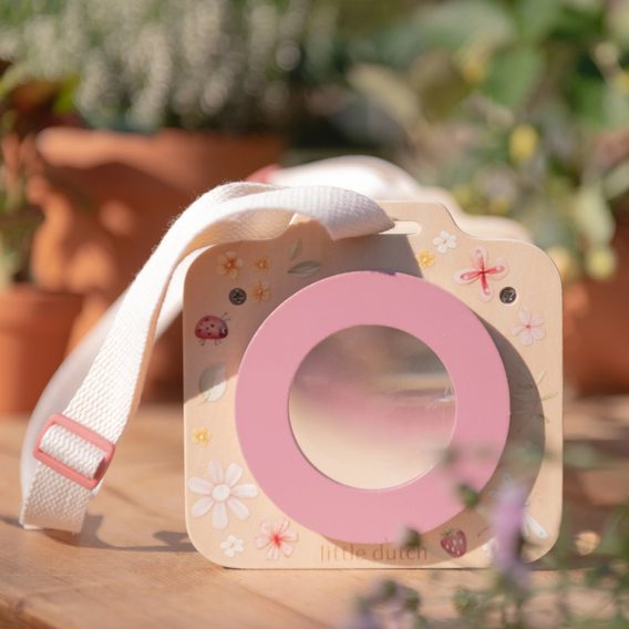 Little Dutch Box na prohlížení hmyzu dřevěný Fairy Garden