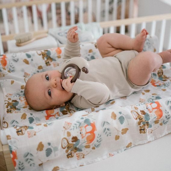 BabyOno Chrastítko ŠNEK