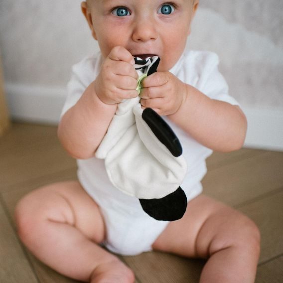 BabyOno Šustící mazlík PANDA POLLY