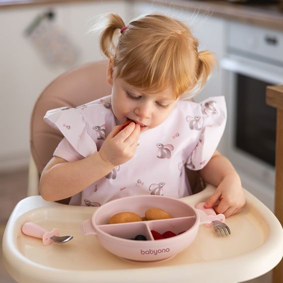 BabyOno Silikonový dělený talíř s přísavkou a víčkem RŮŽOVÁ