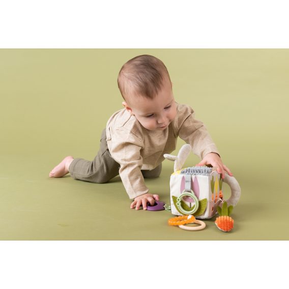 Taf Toys Kostka Zahrada