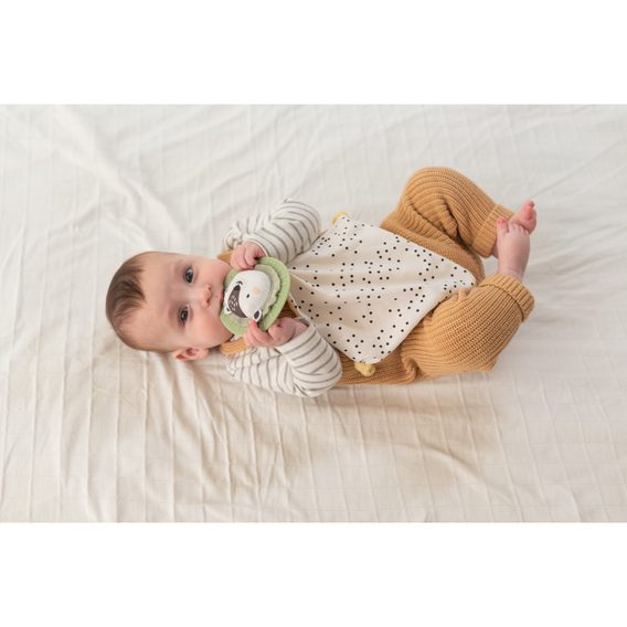 Taf Toys Sada hraček pro nejmenší Hello Baby