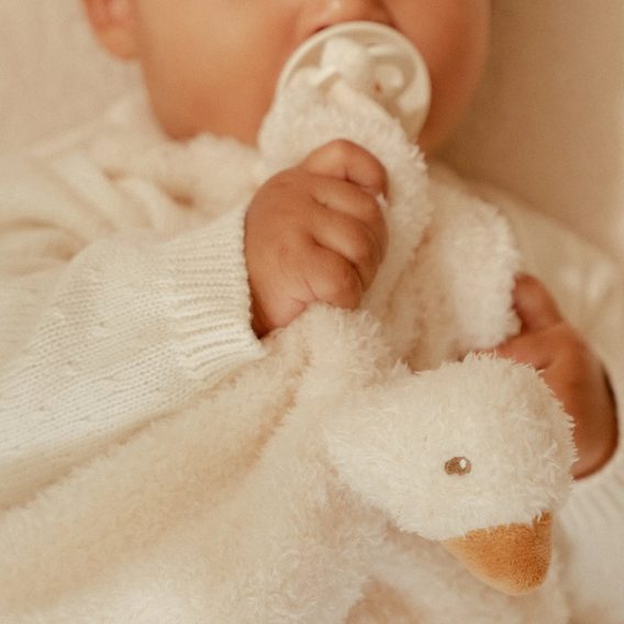 Little Dutch Muchláček husa Newborn Naturals