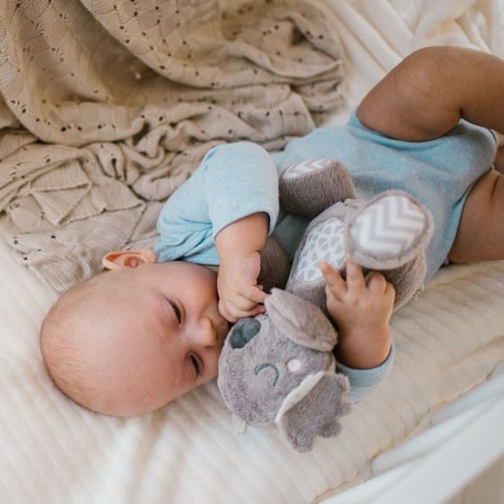 BabyOno Chrastící plyšová Koala COCO