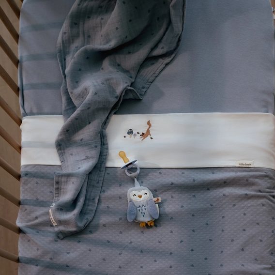 Little Dutch Muchláček na dudlík Sova Forest Friends